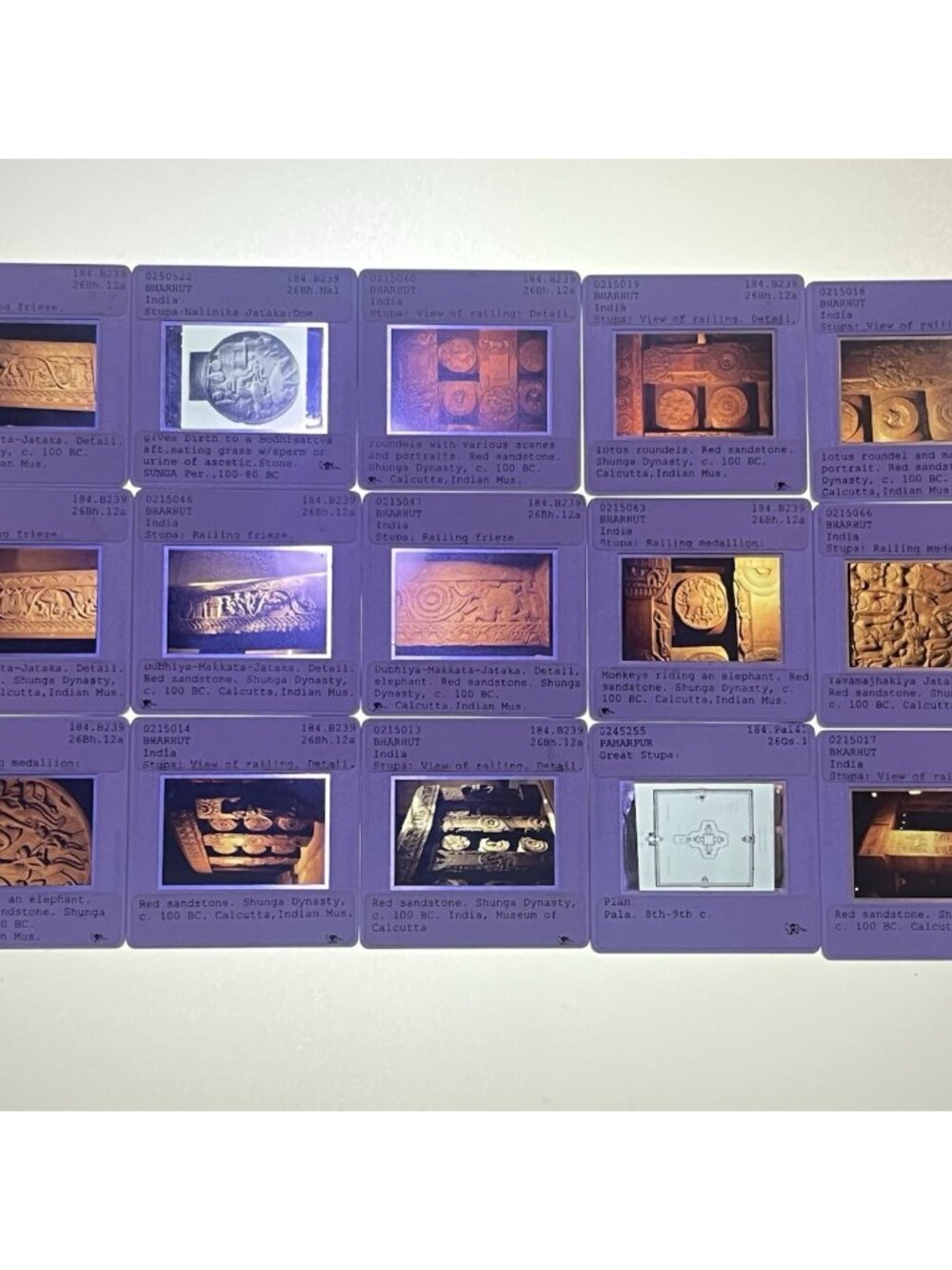 15 Vintage Bharhut Stupa Ancient India UCI Visual Resources Coll 35mm Slides (E)